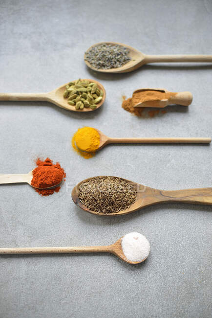 Spice on a spoon, lavender, cardamom, cinnamon, turmeric, capsicum, cumin, salt — Stock Photo