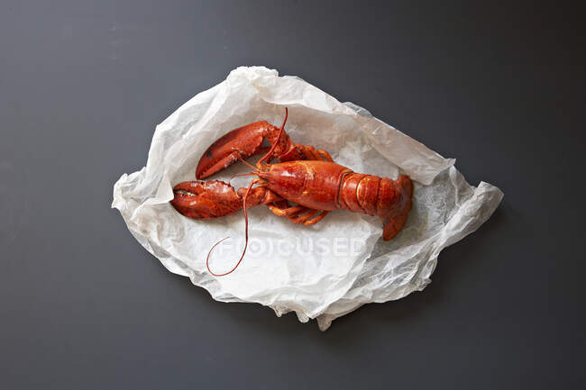 Un homard cuit entier sur papier blanc — Photo de stock