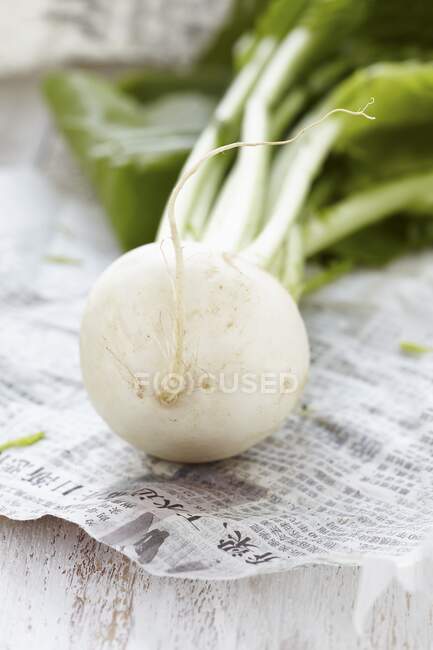 A turnip on a newspaper — Stock Photo