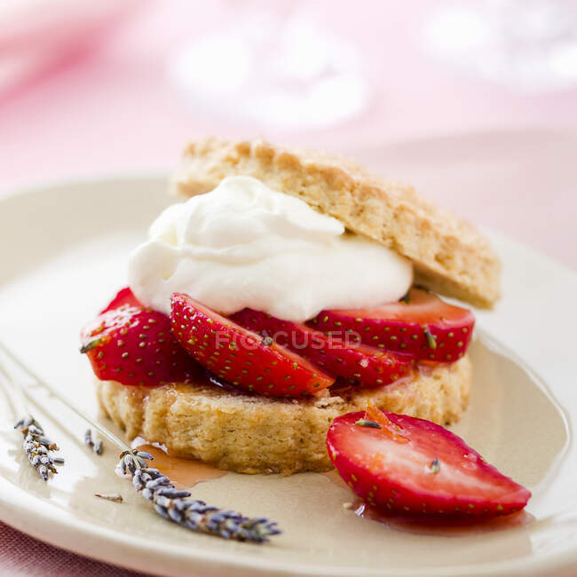 Strawberry shortcake with lavender and cream — Stock Photo