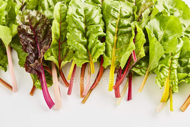 Colourful stemmed chard close-up view — Stock Photo