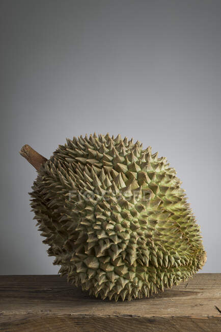 A durian fruit in front of a grey background — Stock Photo