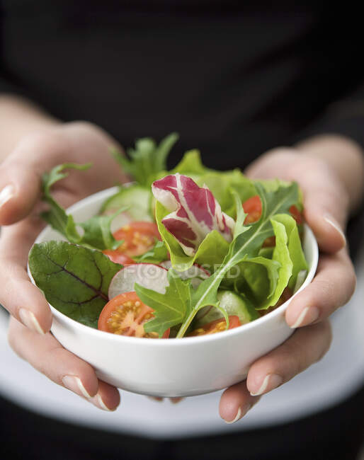 Руки держат маленький белый шарик со смешанным салатом — стоковое фото