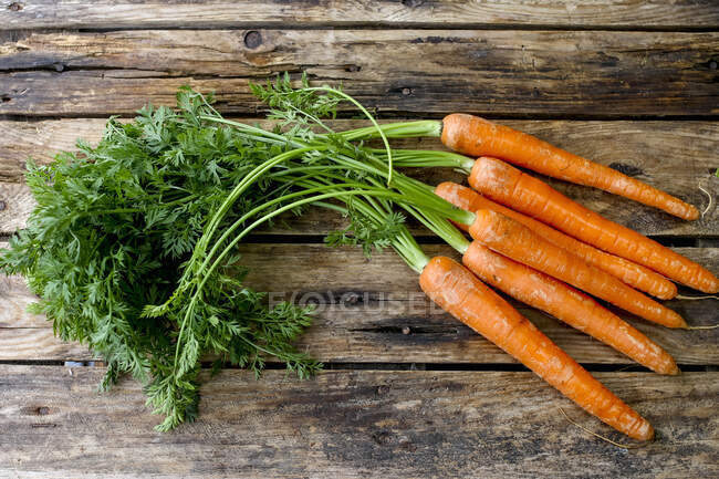 Ein Bündel Frühlings-Karotten — Stockfoto