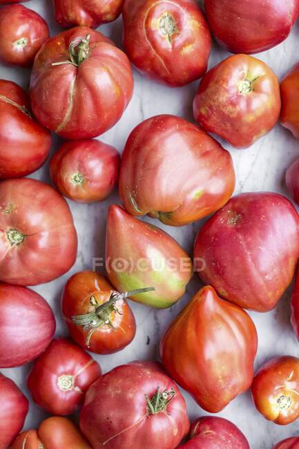 Червоні та білі помідори на прилавку. — стокове фото