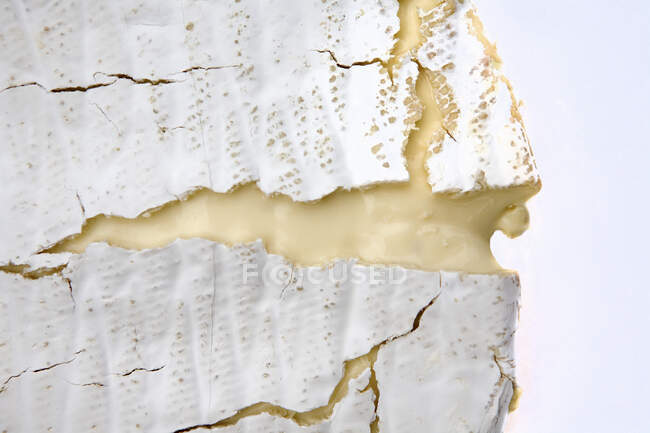 Camembert maduro (primer plano) - foto de stock