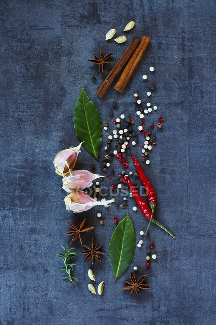 Bright spices on dark vintage background — Stock Photo