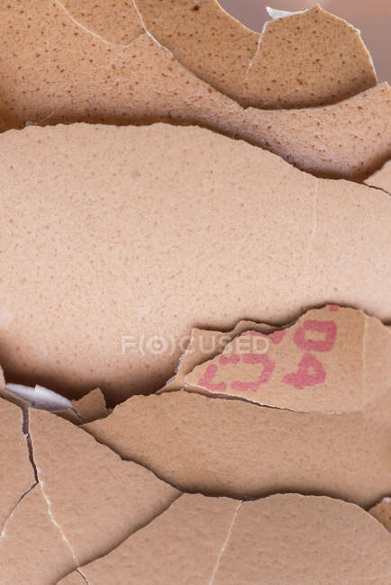 Разбитые коричневые яичные скорлупы (близко, от края до края) — стоковое фото