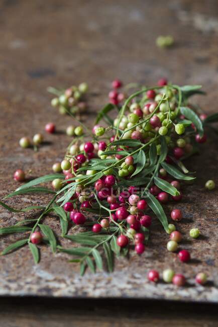 Sprigs of pink pepper — Stock Photo