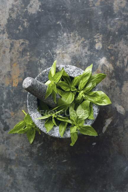Basil leaves in the mortar — Stock Photo