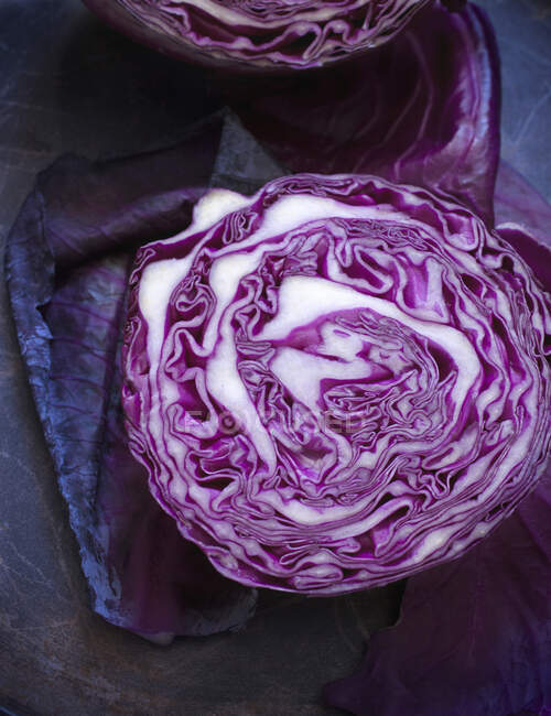 Половинчатая голова фиолетовой капусты — стоковое фото