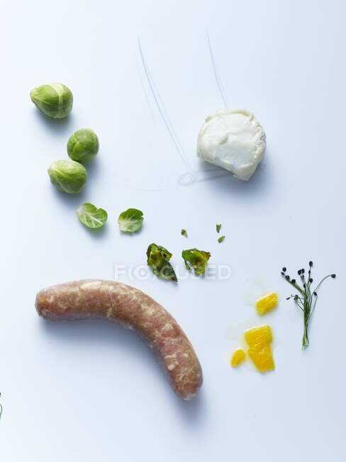 Ingredients for making ravioli with fennel and bratwurst — Stock Photo