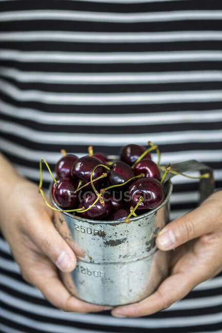Mãos segurando copo de medição de metal com cerejas frescas — Fotografia de Stock