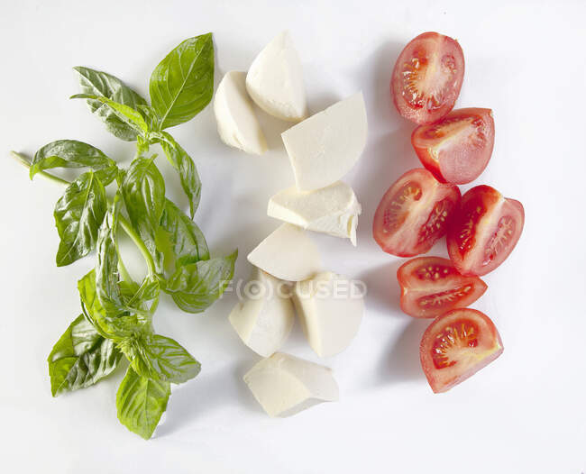 Cales de basilic, mozzarella et tomates (en forme de drapeau italien)) — Photo de stock