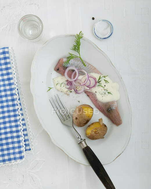 Hareng avec pommes de terre partiellement pelées, sauce à l'aneth et rondelles d'oignon — Photo de stock