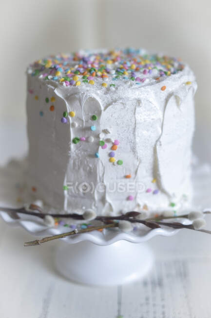 White Confetti Cake close-up view — Stock Photo