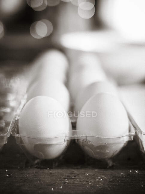 Ovos brancos em recipiente plástico transparente — Fotografia de Stock
