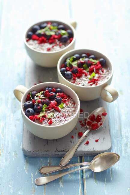 Close-up shot of delicious Blueberry chia pudding — Stock Photo
