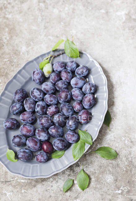 Fresh plums in ceramic plate with leaves — Stock Photo