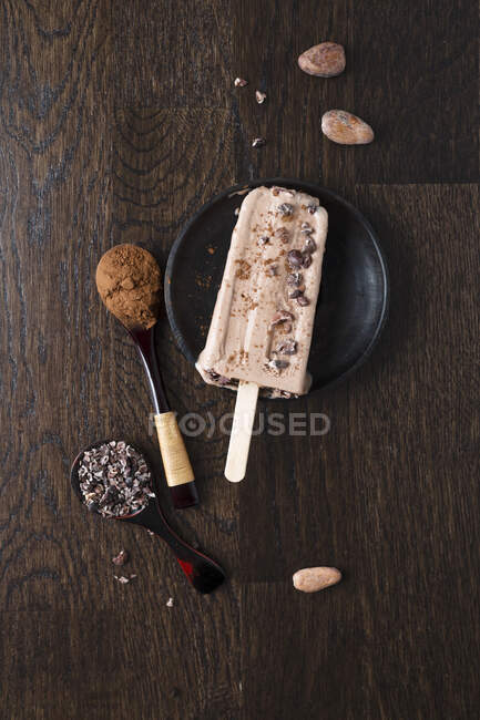 Какао - морозиво з какао - порошком і ніжками какао. — стокове фото
