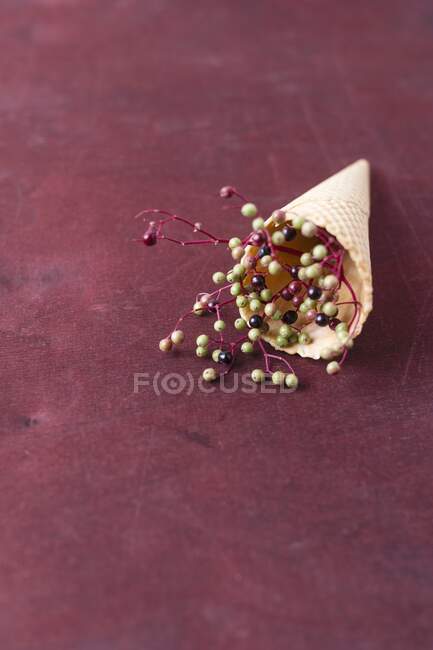 Sabugueiros em um cone de sorvete — Fotografia de Stock