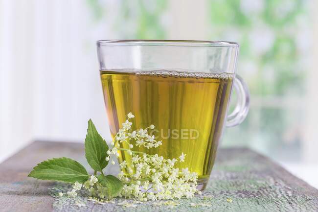 Chá de sabugueiro e sabugueiro fresco — Fotografia de Stock