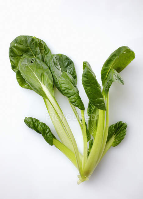 Frische grüne Blätter von Spinat auf weißem Hintergrund — Stockfoto
