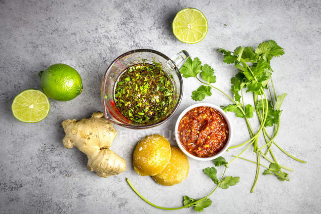 Vietnamesische Marinade mit Limette, Ingwer, Palmzucker, Koriander und Chilipaste — Stockfoto