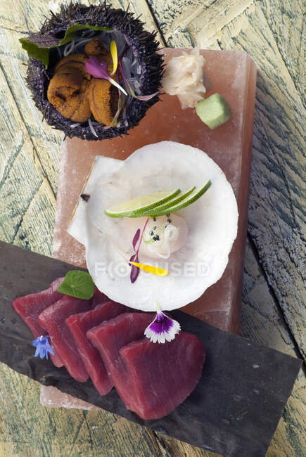 Atún, vieira y erizo de mar servidos sobre un ladrillo de sal rosa (Japón) - foto de stock