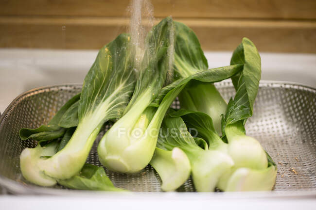 Bok choy being washed — Stock Photo