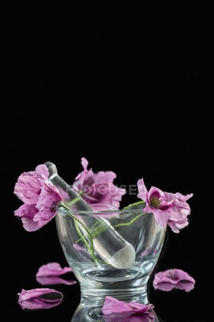 Purple poppies in a glass mortar — Stock Photo