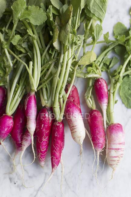 Fresh organic vegetables on a white background — Stock Photo