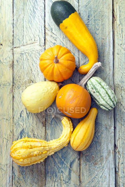 Various pumpkins on a wooden surface — Stock Photo