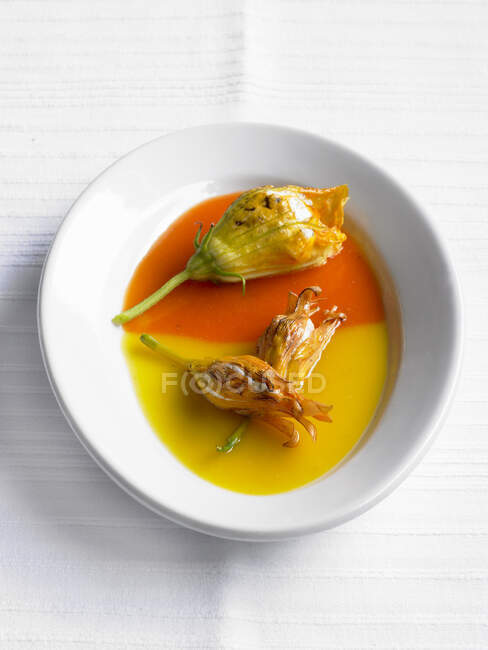 Stuffed zucchini flowers in red and yellow pepper sauce — Stock Photo