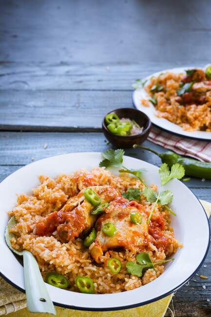 Pollo mexicano con arroz - foto de stock