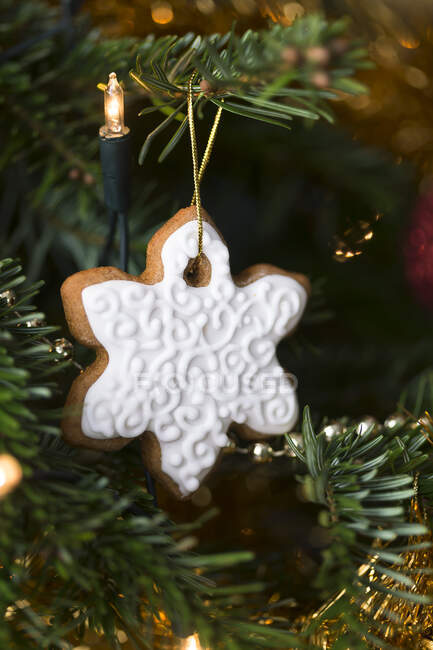 Biscotto di pan di zenzero fiocco di neve appeso su un albero di Natale — Foto stock