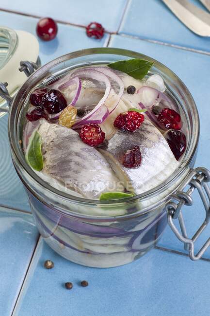 Marinated herring fillets with cranberries and raisins in a jar — Stock Photo