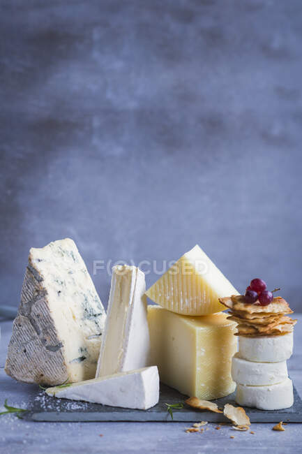 Varios quesos en una pizarra - foto de stock