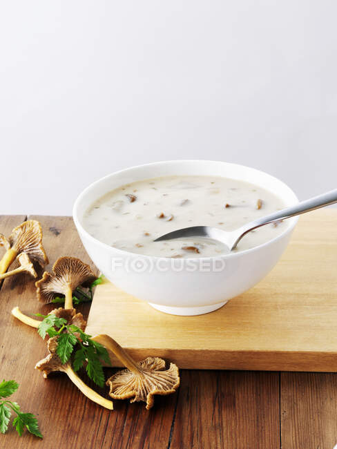 Soupe aux champignons crémeuse vue rapprochée — Photo de stock