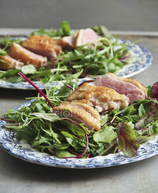 Poitrine de canard croustillante avec salade de feuilles mélangées — Photo de stock