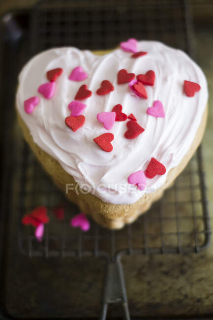 Mini pastel en forma de corazón - foto de stock