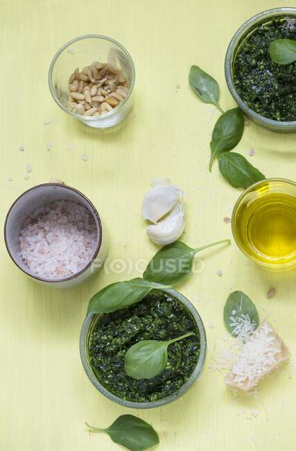 Basil pesto with the ingredients — Stock Photo