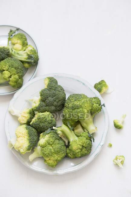 Broccoli florets on a white plate — Stock Photo