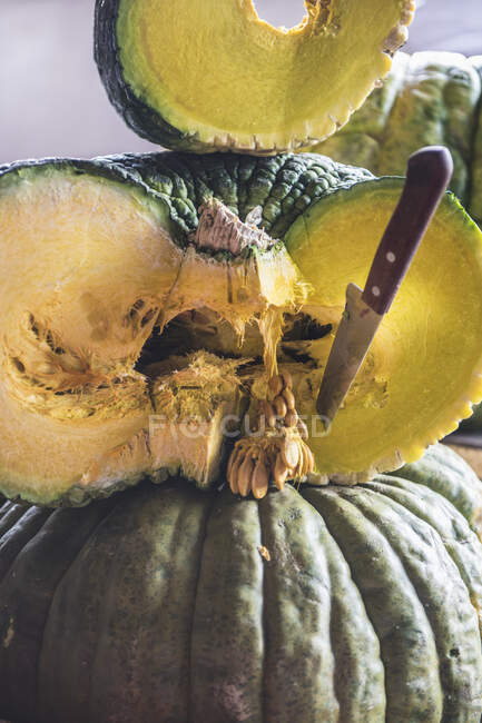 Giant pumpkin for sale on the market — Stock Photo