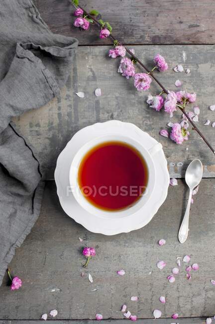 Primer plano de deliciosa taza de té (supervisión) - foto de stock