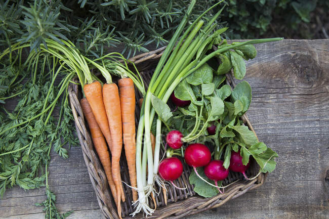 Весенние овощи в корзине на деревянной поверхности — стоковое фото