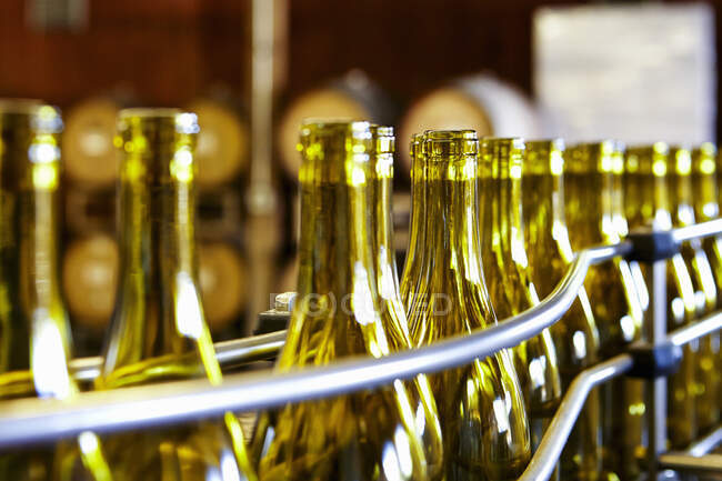 Leere Weinflaschen in einer Abfüllanlage — Stockfoto