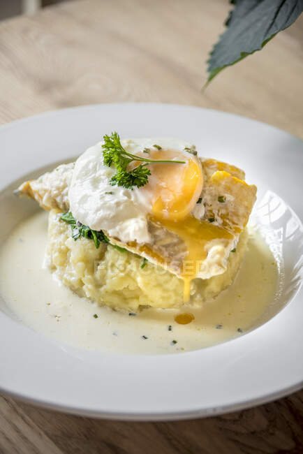 Sea bass fish fillet on a potato mash with runny yolk poached egg garnished with herbs on a white plate and light wooden table — Stock Photo