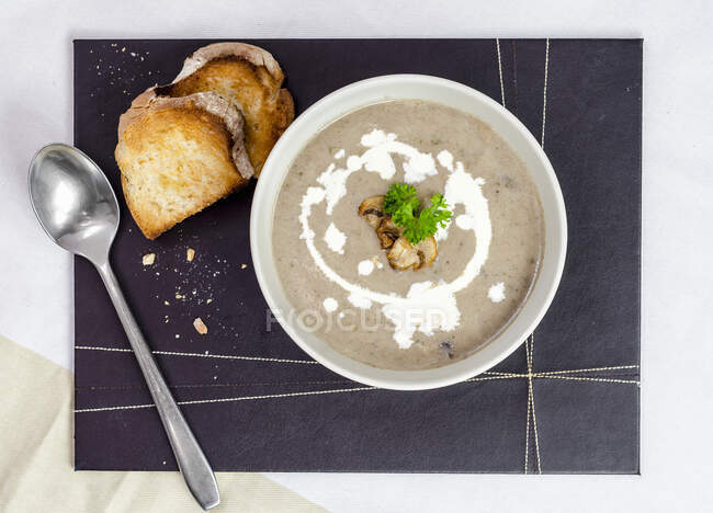 Wild mushroom soup, garnished with parsley and grilled slices of bread — Stock Photo