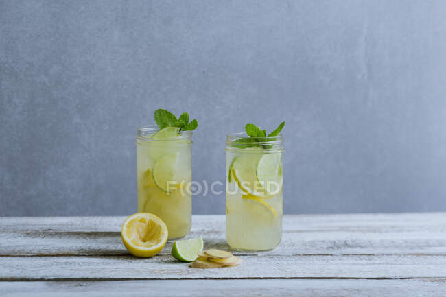 Lemon and lime switchel with ginger and mint — Stock Photo